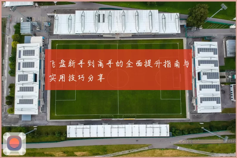 飞盘新手到高手的全面提升指南与实用技巧分享