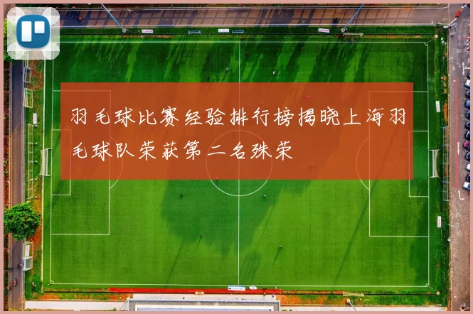 羽毛球比赛经验排行榜揭晓上海羽毛球队荣获第二名殊荣