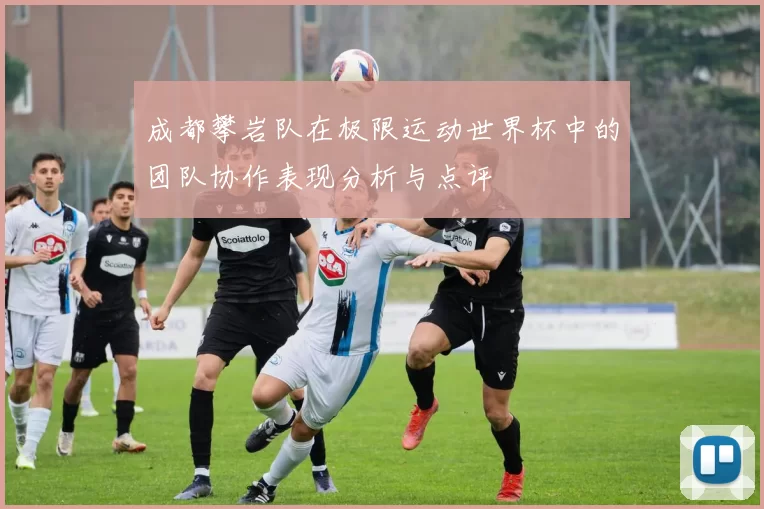 成都攀岩队在极限运动世界杯中的团队协作表现分析与点评