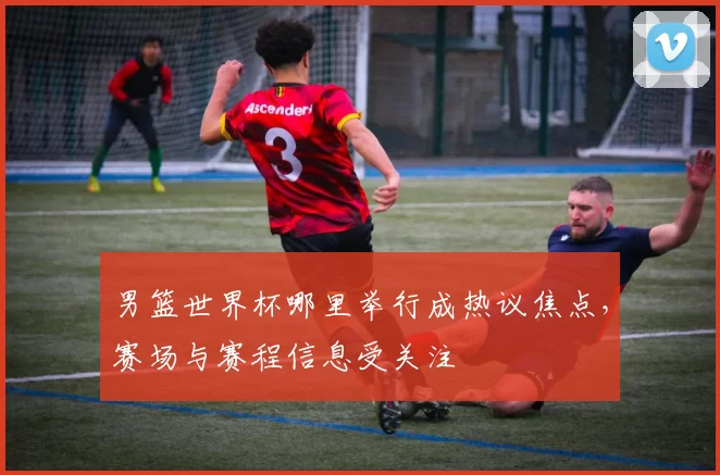 男篮世界杯哪里举行成热议焦点，赛场与赛程信息受关注