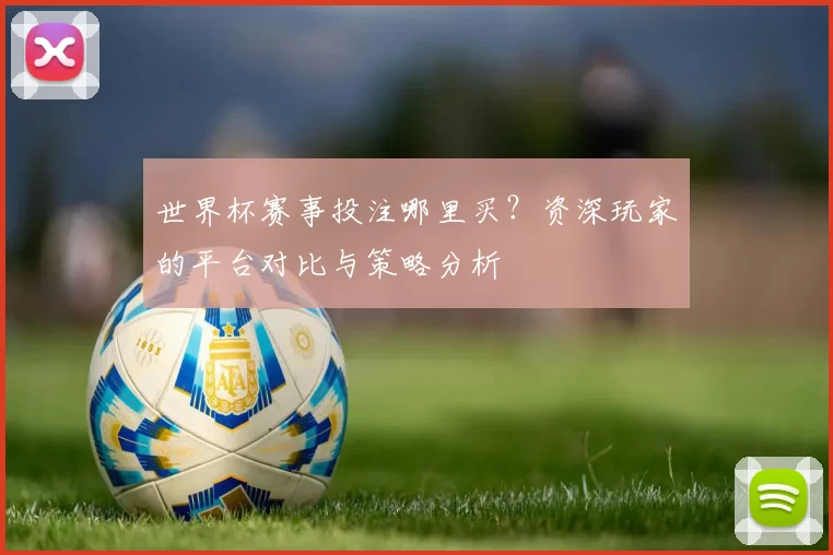 世界杯赛事投注哪里买？资深玩家的平台对比与策略分析