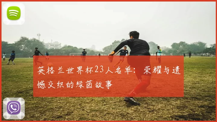 英格兰世界杯23人名单:荣耀与遗憾交织的绿茵故事