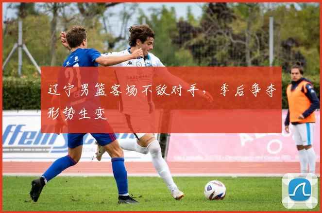 辽宁男篮客场不敌对手，季后争夺形势生变