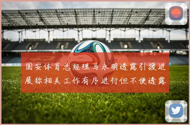 国安体育总经理马永明透露引援进展称相关工作有序进行但不便透露名字