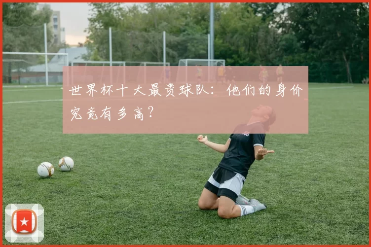 世界杯十大最贵球队:他们的身价究竟有多高?